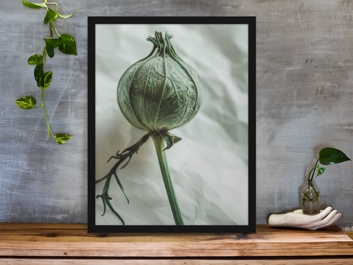 Preview collection. Vertical canvas