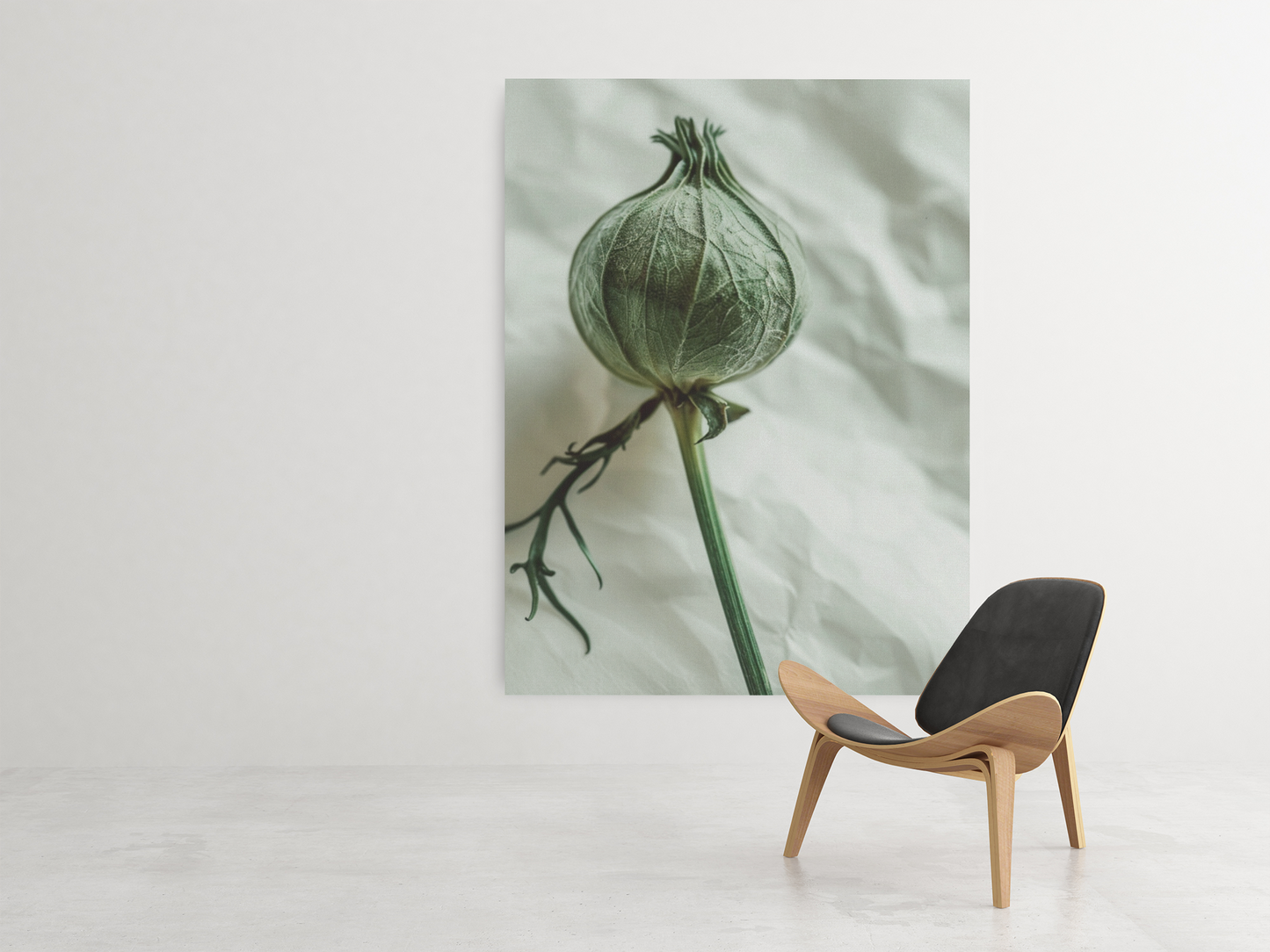 Preview collection. Vertical canvas